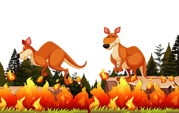 Känguru Entkommt Dem Buschfeuer Illustration — Stockvektor