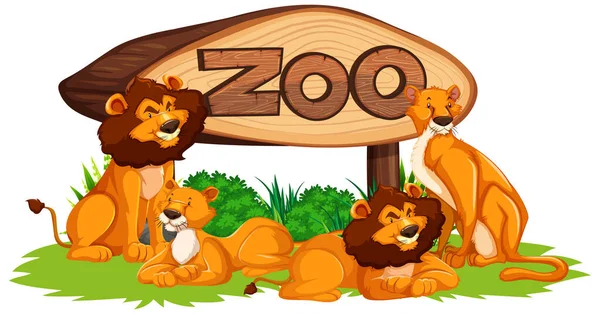 带有动物园标志的狮子 — 图库矢量图片