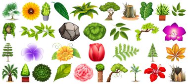 Beyaz arkaplan illüstrasyonunda izole edilmiş bir dizi farklı doğa