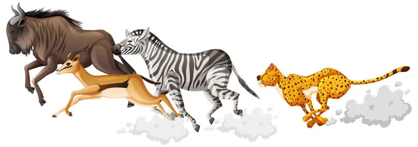 Wild Animals Group Running Cartoon Style Isolated White Background Illustration — Stock Vector
