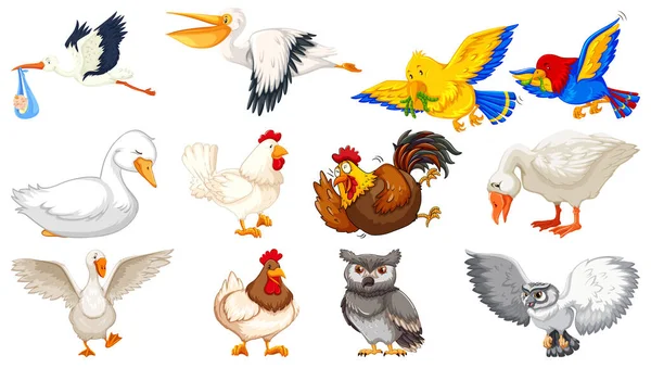 Набір Різних Птахів Мультяшний Стиль Ізольований Білому Тлі Ілюстрації — стоковий вектор