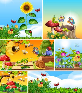 Bahçe arka planında yaşayan bir grup farklı böcek.