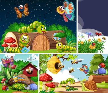 Bahçe arka planında yaşayan bir grup farklı böcek.