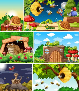 Bahçe arka planında yaşayan bir grup farklı böcek.