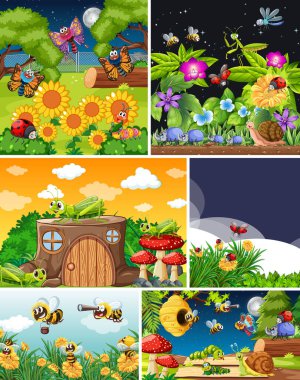 Bahçe arka planında yaşayan bir grup farklı böcek.