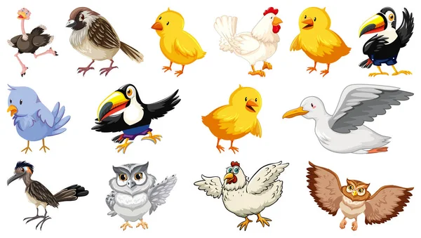 Conjunto Diferentes Aves Estilo Cartoon Isolado Fundo Branco Ilustração — Vetor de Stock