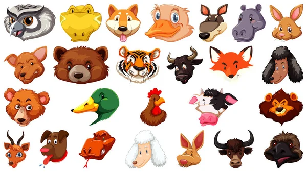 Conjunto Diferentes Animais Bonitos Desenhos Animados Cabeça Enorme Isolado Fundo — Vetor de Stock