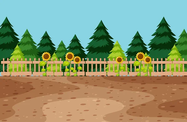 Leere Fläche Garten Mit Sonnenblume Und Kiefer Auf Hintergrund Illustration — Stockvektor
