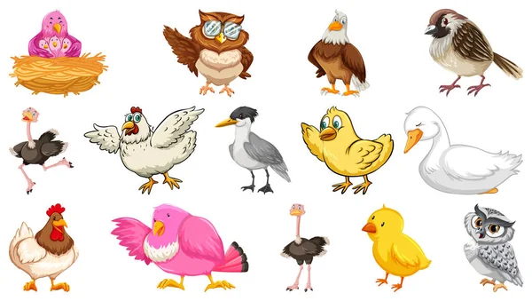 Conjunto Diferentes Aves Estilo Dibujos Animados Aislados Sobre Fondo Blanco — Vector de stock