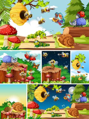 Bahçe arka planında yaşayan bir grup farklı böcek.