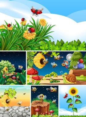 Bahçe arka planında yaşayan bir grup farklı böcek.