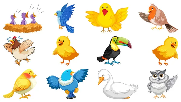 Conjunto Diferentes Aves Estilo Dibujos Animados Aislados Sobre Fondo Blanco — Vector de stock