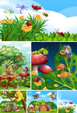 Bahçe arka planında yaşayan bir grup farklı böcek.