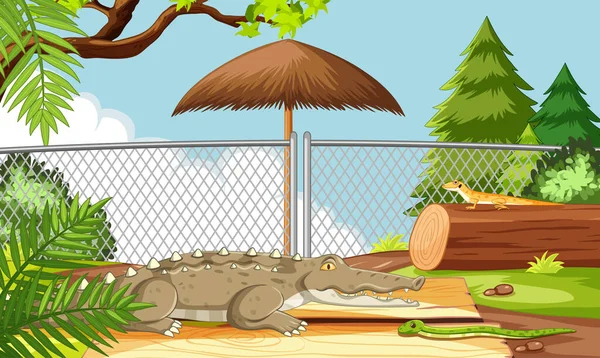 Alligator Dierentuin Scene Illustratie — Stockvector