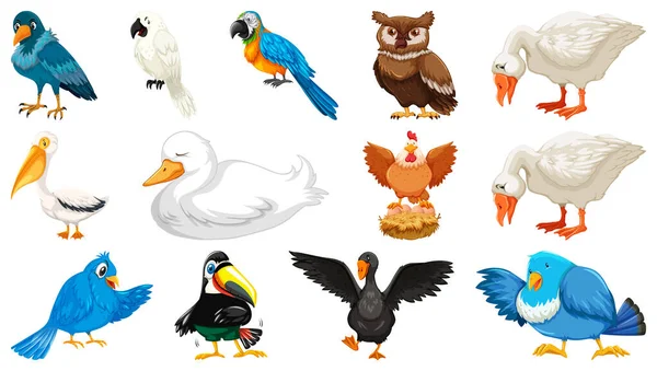 Conjunto Diferentes Aves Estilo Dibujos Animados Aislados Sobre Fondo Blanco — Archivo Imágenes Vectoriales