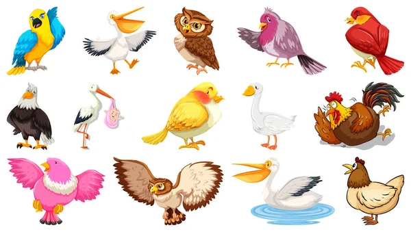 白い背景のイラストに隔離された異なる鳥の漫画スタイルのセット — ストックベクタ