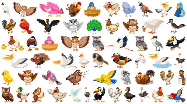 Set Van Verschillende Vogels Cartoon Stijl Geïsoleerd Witte Achtergrond Illustratie — Stockvector