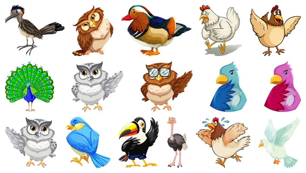 Set Different Birds Cartoon Style Isolated White Background Illustration — Stock Vector