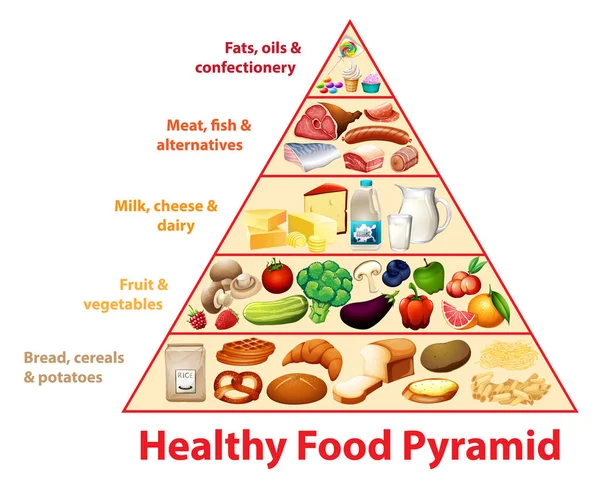 Healthy Food Pyramid Chart Illustration — Stock Vector
