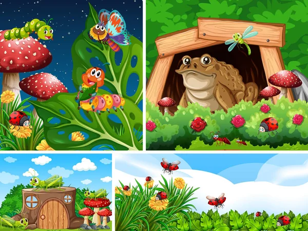 Bahçe arka planında yaşayan bir grup farklı böcek.