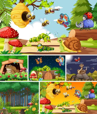 Bahçe arka planında yaşayan bir grup farklı böcek.