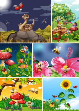 Bahçe arka planında yaşayan bir grup farklı böcek.