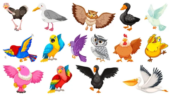 Conjunto Diferentes Aves Estilo Dibujos Animados Aislados Sobre Fondo Blanco — Vector de stock