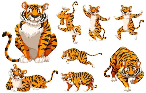 Set Desene Animate Tigru Ilustrare Personaje — Vector de stoc