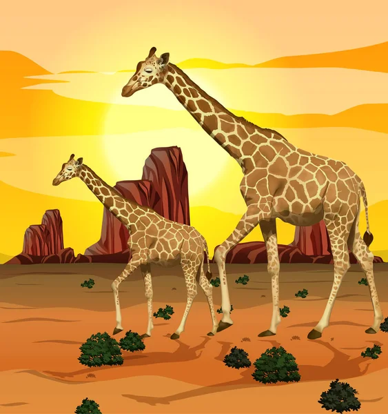 Zürafa Doğa Arkaplan Illüstrasyonu — Stok Vektör