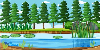 Çam ağaçları ve bataklık resimleriyle dolu doğa parkı sahnesinde boş bir manzara.