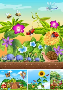 Bahçe arka planında yaşayan bir grup farklı böcek.