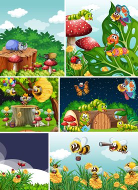 Bahçe arka planında yaşayan bir grup farklı böcek.