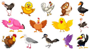 Beyaz arkaplan illüstrasyonunda izole edilmiş farklı kuş çizgi film biçimi