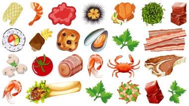 Bir dizi taze gıda malzemesi çizimi