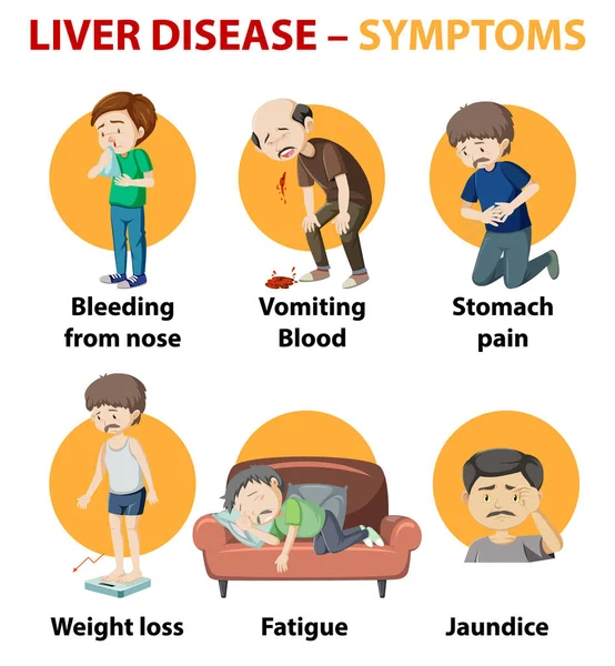 Leversjukdom Symptom Tecknad Stil Tecknad Stil Infographic Illustration — Stock vektor