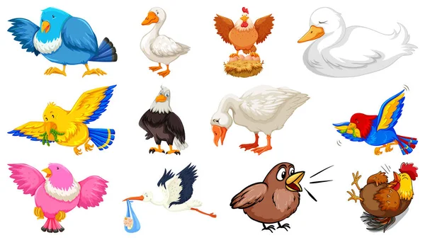 Conjunto Diferentes Aves Estilo Dibujos Animados Aislados Sobre Fondo Blanco — Vector de stock