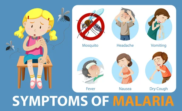 Sintomi Della Malaria Stile Cartone Animato Illustrazione Infografica — Vettoriale Stock