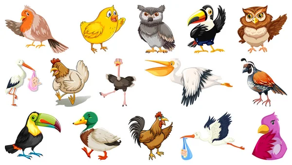 Conjunto Diferentes Aves Estilo Dibujos Animados Aislados Sobre Fondo Blanco — Vector de stock