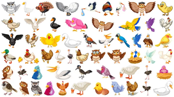 Conjunto Diferentes Aves Estilo Dibujos Animados Aislados Sobre Fondo Blanco — Vector de stock