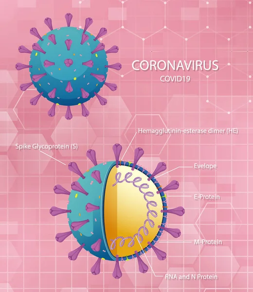 Illustration Der Struktur Von Coronavirus Partikeln — Stockvektor