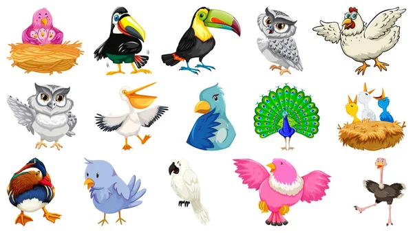 Set Diversi Uccelli Stile Cartone Animato Isolato Sfondo Bianco Illustrazione — Vettoriale Stock