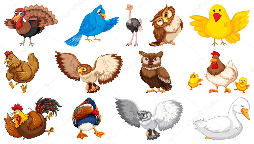 Set of different birds cartoon style isolated on white background illustration
