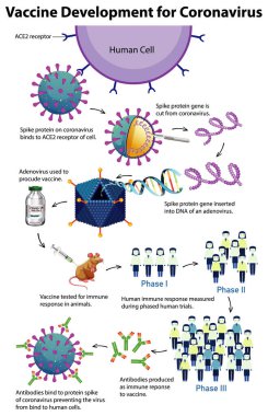 Coronavirus illüstrasyonu için aşı geliştirme