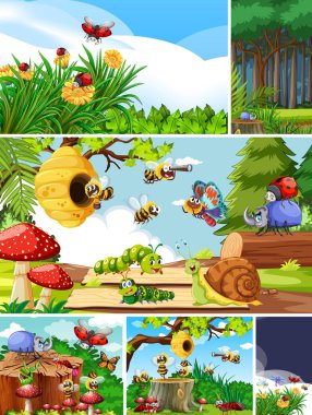 Bahçe arka planında yaşayan bir grup farklı böcek.