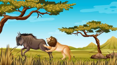 Aslan ve antilop doğanın arka planında.