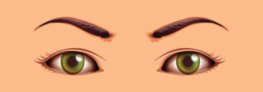 İnsan gözü kapama alanı illüstrasyonu