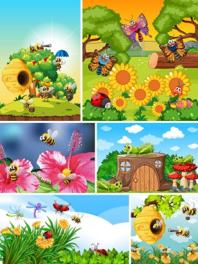 Bahçe arka planında yaşayan bir grup farklı böcek.