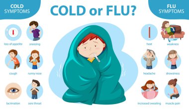 Soğuk algınlığı ve grip belirtilerinin tıbbi bilgileri