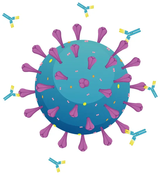 Coronavirus Struktur Auf Weißem Hintergrund — Stockvektor