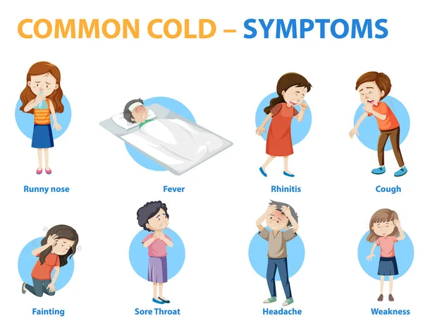 Common Cold Symptoms Cartoon Style Infographic Illustration — Stock Vector